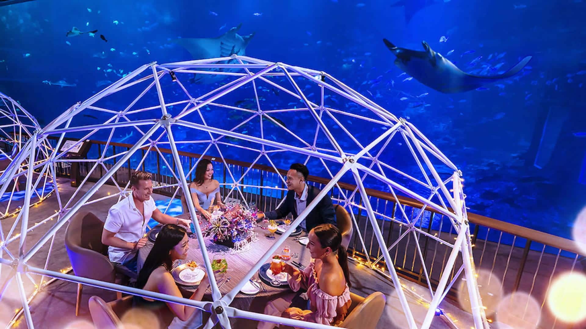 Aqua Gastronomy Experience at S.E.A. Aquarium
