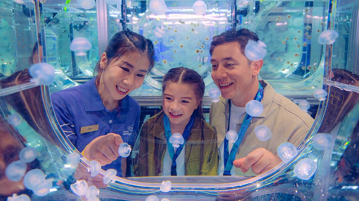 Celebrate World Sea Jelly Day - Animal Spotlight: Sea Jellies Tour - Singapore Oceanarium - Aquarist Lab