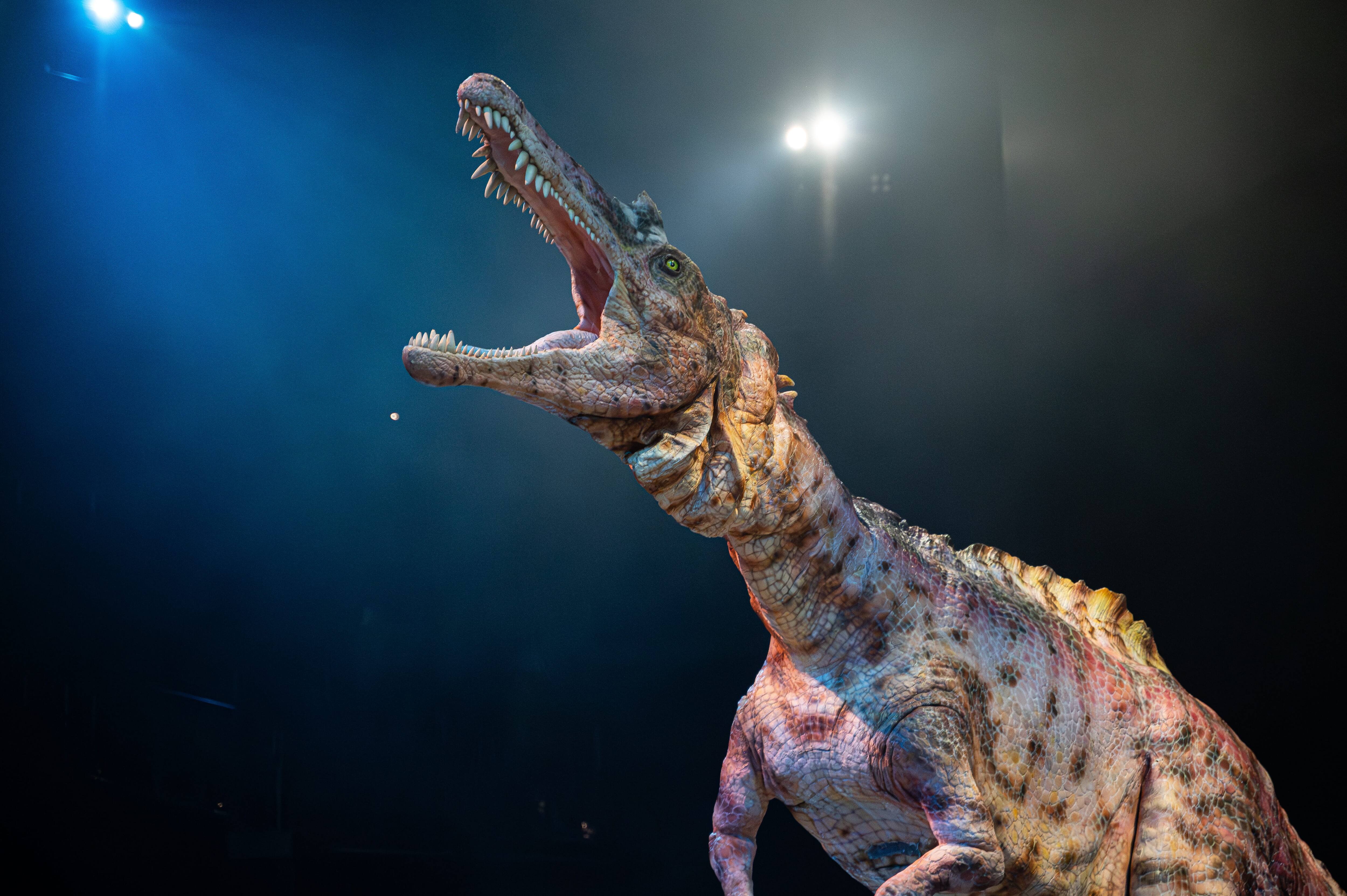 With its original DINO-TECHNE technology, the dinosaurs at DINOSAUR ODYSSEY reproduce the natural, dynamic and delicate movements of living creatures. 