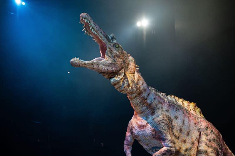 With its original DINO-TECHNE technology, the dinosaurs at DINOSAUR ODYSSEY reproduce the natural, dynamic and delicate movements of living creatures.