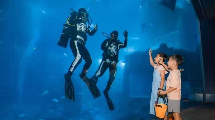 Skeleton Divers for Halloween at SEA Aquarium