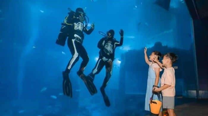 Skeleton Divers for Halloween at SEA Aquarium