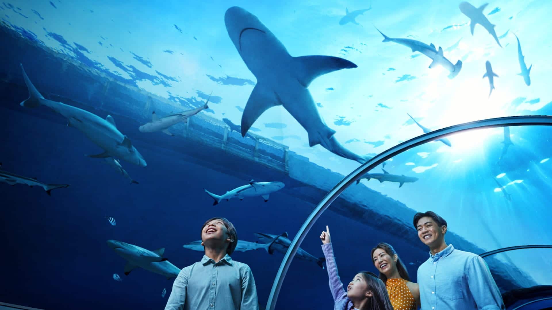 Family viewing Shark Habitat at SEAA