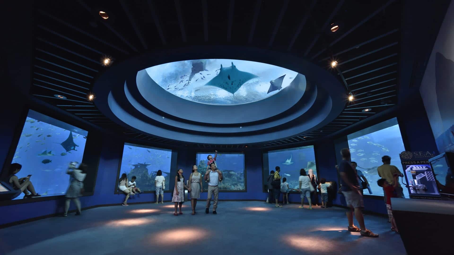 S.E.A. Aquarium Dome