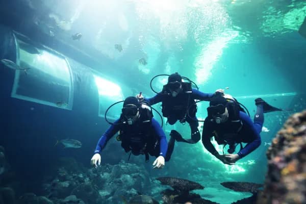 Singapore Oceanarium Dive Programmes Complete Guide – PADI Discover Scuba Diving is designed for people who want to try scuba before deciding whether to complete a certification course
