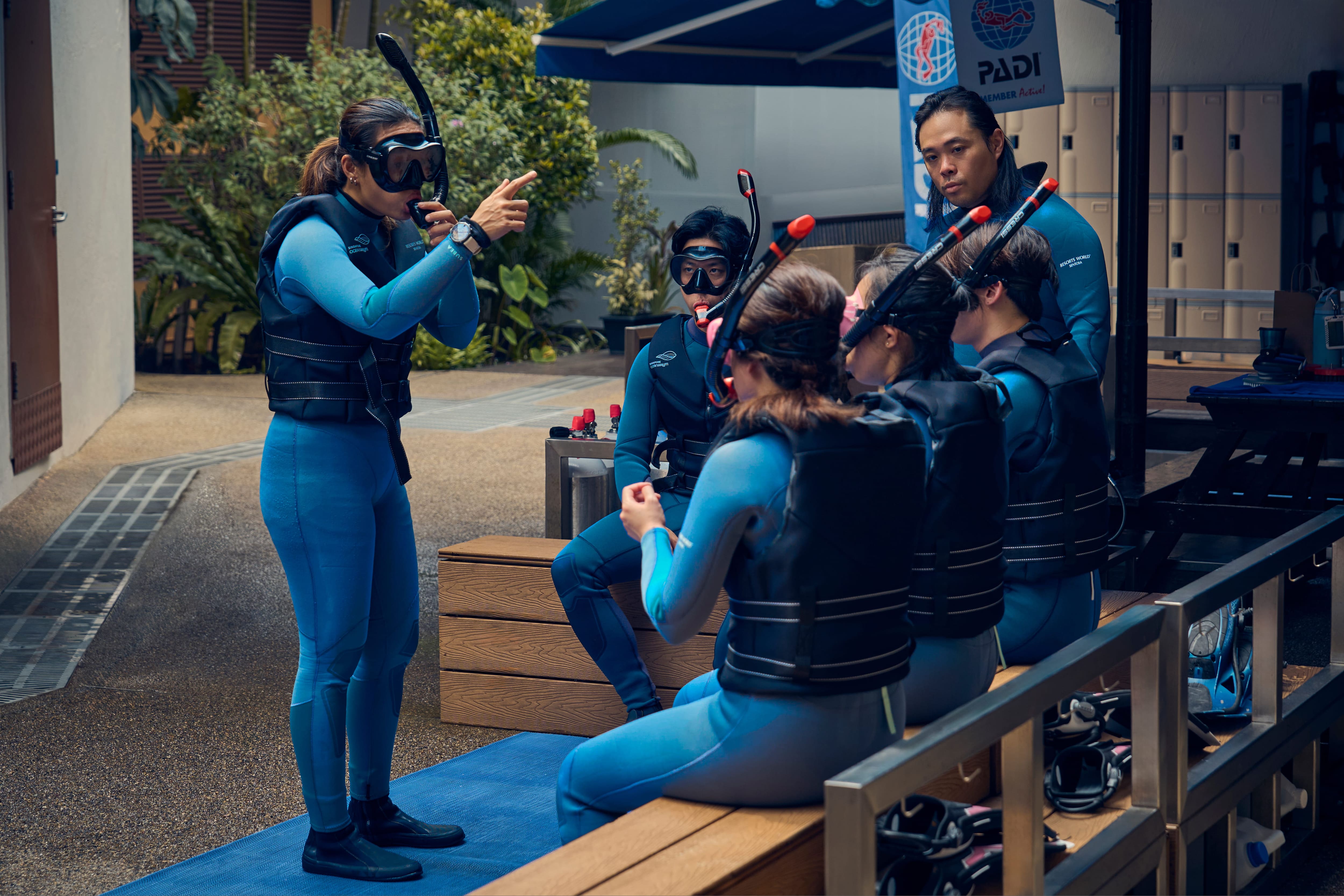 Singapore Oceanarium Dive Programmes Complete Guide – PADI Discover Scuba Diving’s small group makes it suitable for solo participants, couples and families with teenagers who want close instructor attention during a first dive 