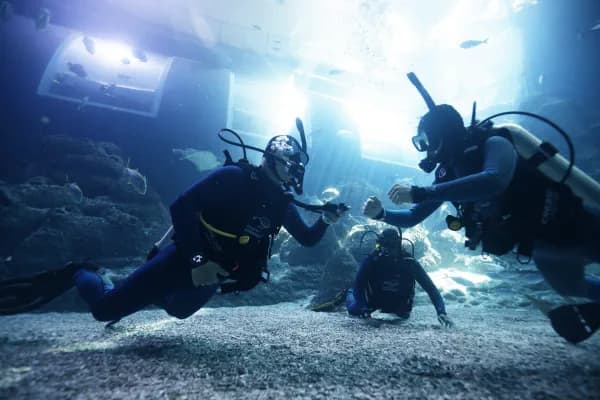 Singapore Oceanarium Dive Programmes Complete Guide – The PADI Open Water Diver Course combines eLearning, confined-water skill development and open-water dives in the Open Ocean Habitat