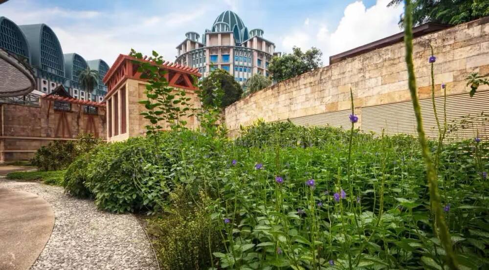 Self-guided Sustainability Tour at Resorts World Sentosa