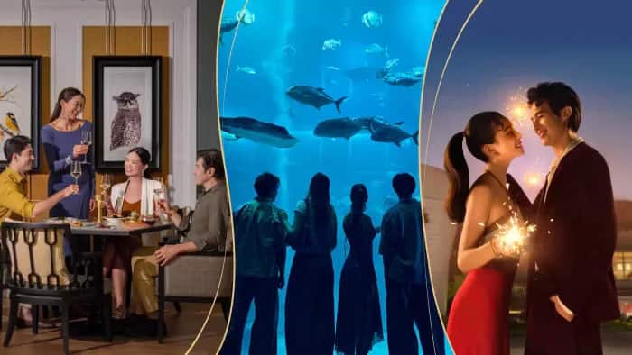 Explore a different side of Resorts World Sentosa with live entertainment rooftop drinks vibrant bar