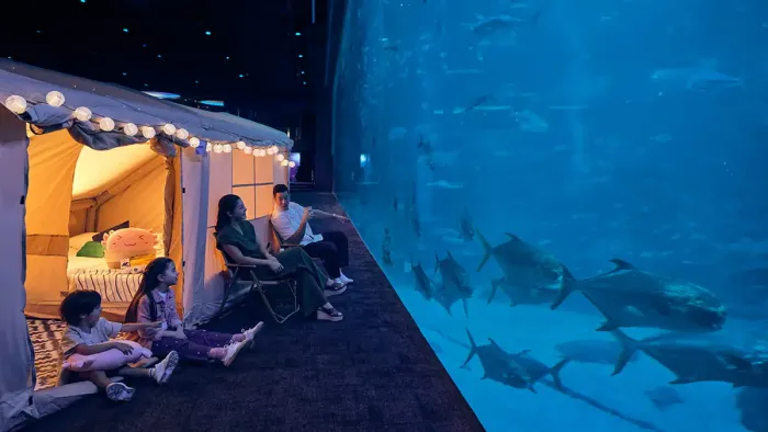 Spend a night inside Singapore Oceanarium and wake up surrounded by the wonders of the marine world