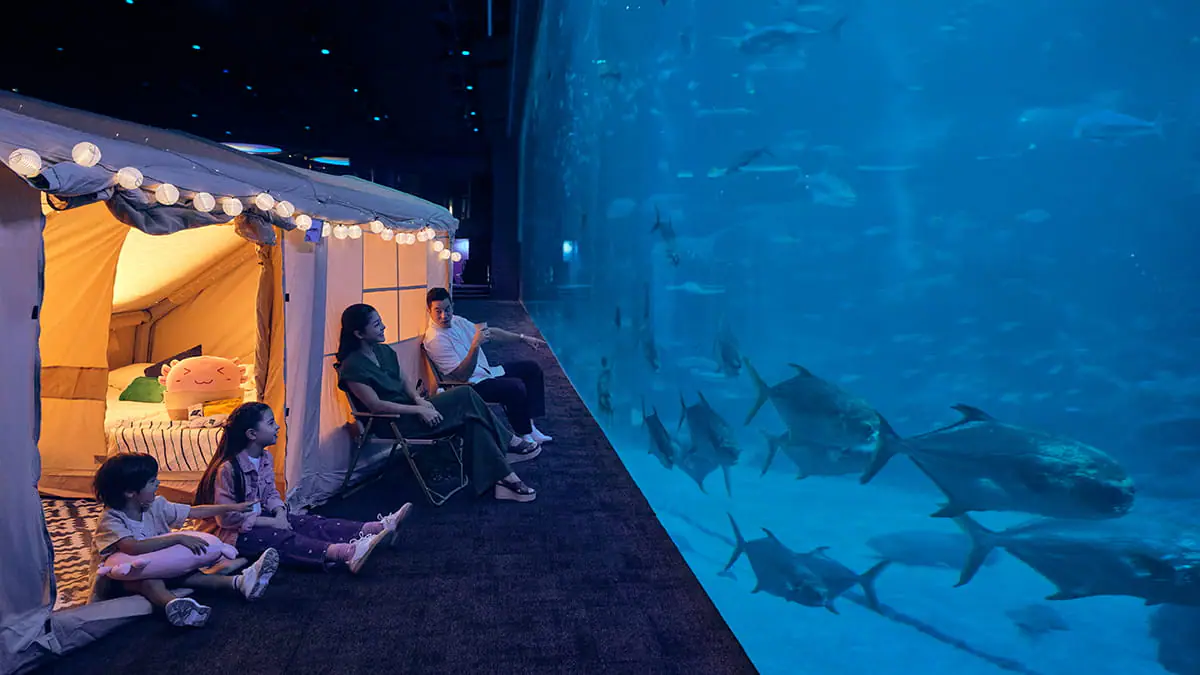 Spend a night inside Singapore Oceanarium and wake up surrounded by the wonders of the marine world