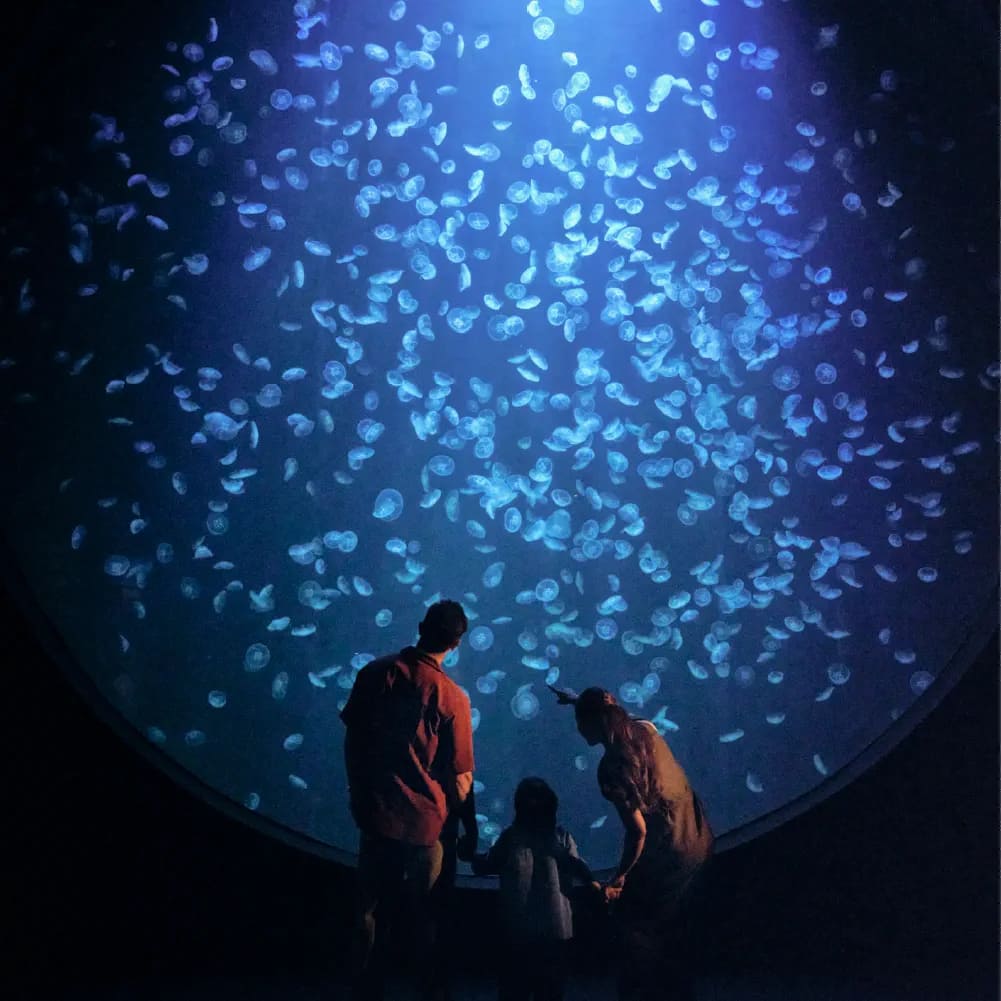 Mother's Day Deals - Singapore Oceanarium - Mums enjoy S$15 off dining within Singapore Oceanarium - 1000x1000