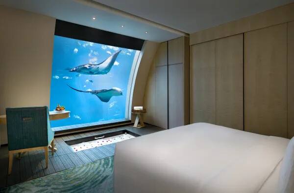 Equarius Ocean Suites offer an underwater bedroom view within a two-storey suite. There are just 11 suites, each measuring 93 sqm. The lower-level viewing window looks into a marine habitat home to more than 40,000 marine animals; the animals visible at any moment vary.