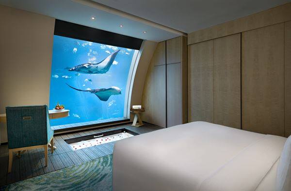 Equarius Ocean Suites offer an underwater bedroom view within a two-storey suite. There are just 11 suites, each measuring 93 sqm. The lower-level viewing window looks into a marine habitat home to more than 40,000 marine animals; the animals visible at any moment vary.