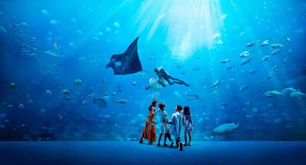 Family viewing the Open Ocean Habitat window at the Singapore Oceanarium