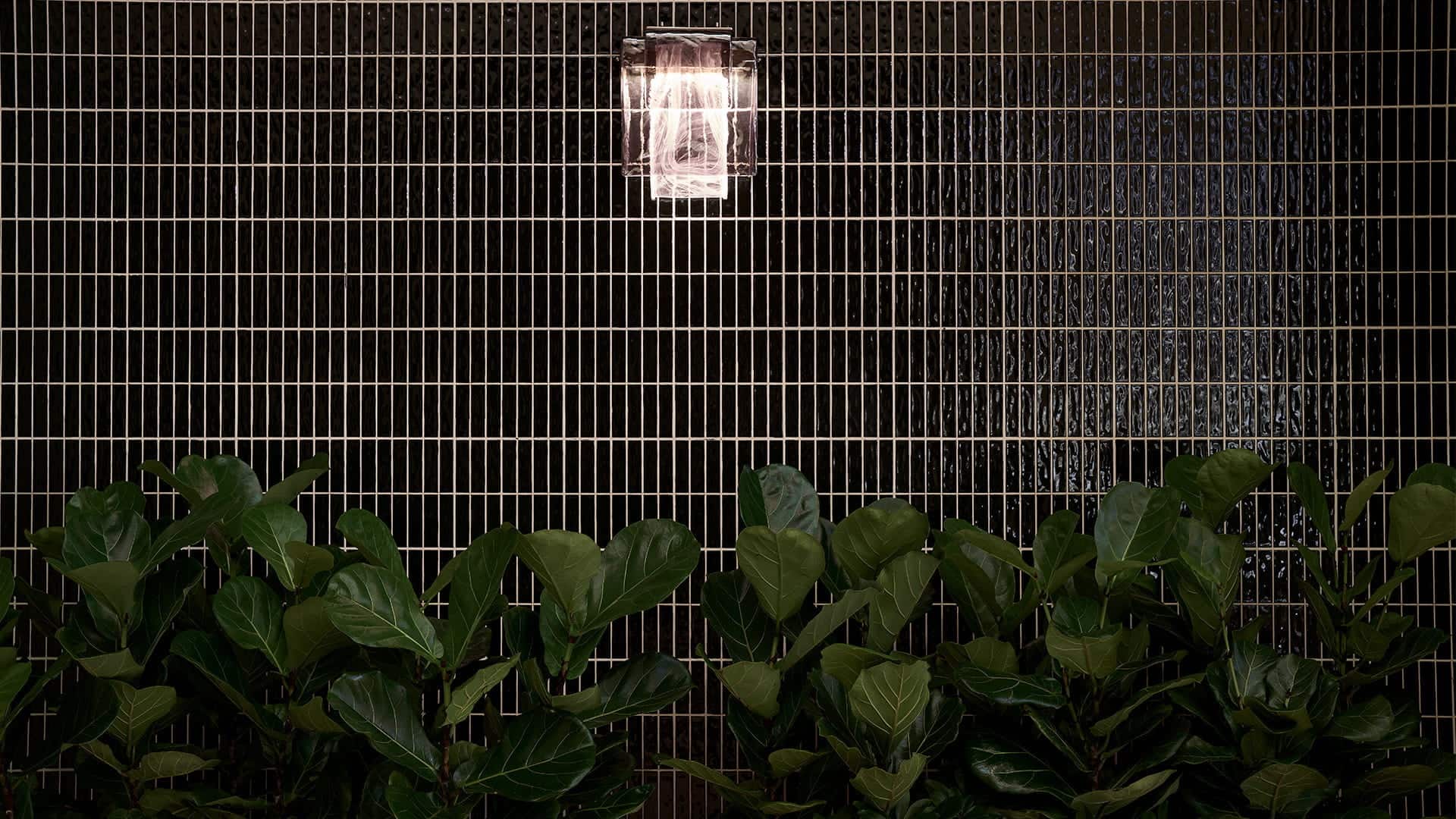 F&B Horatio - Teaser