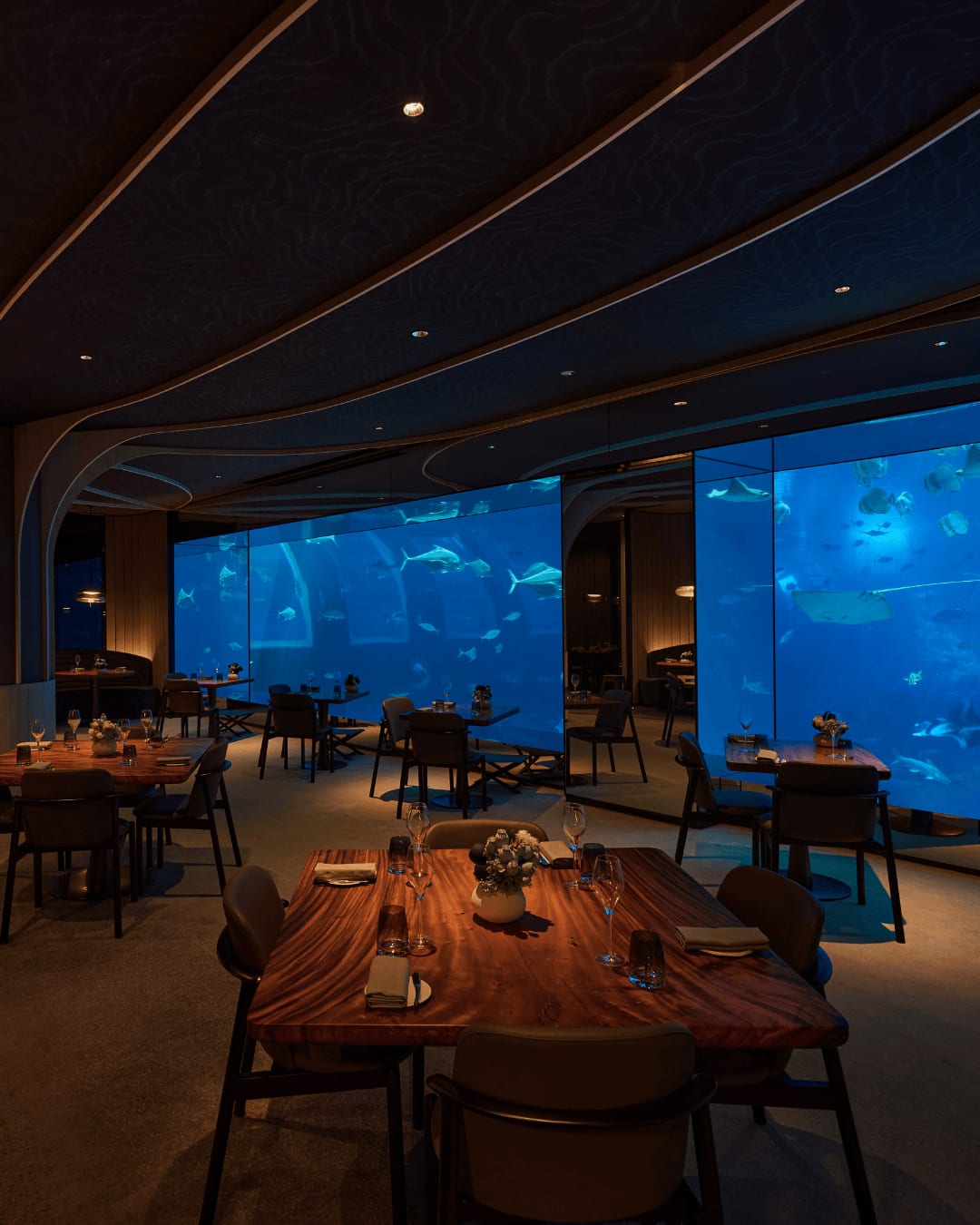 海之味水族餐厅- 圣淘沙名胜世界