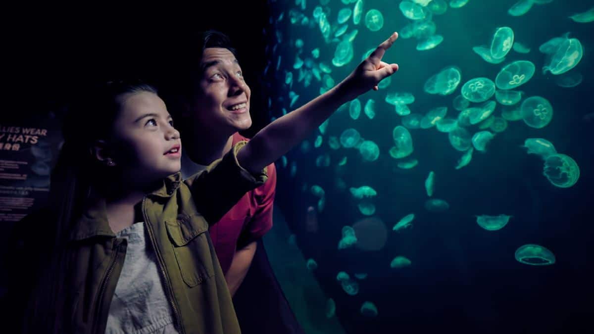 Resorts_World_Sentosa_Night_Activites