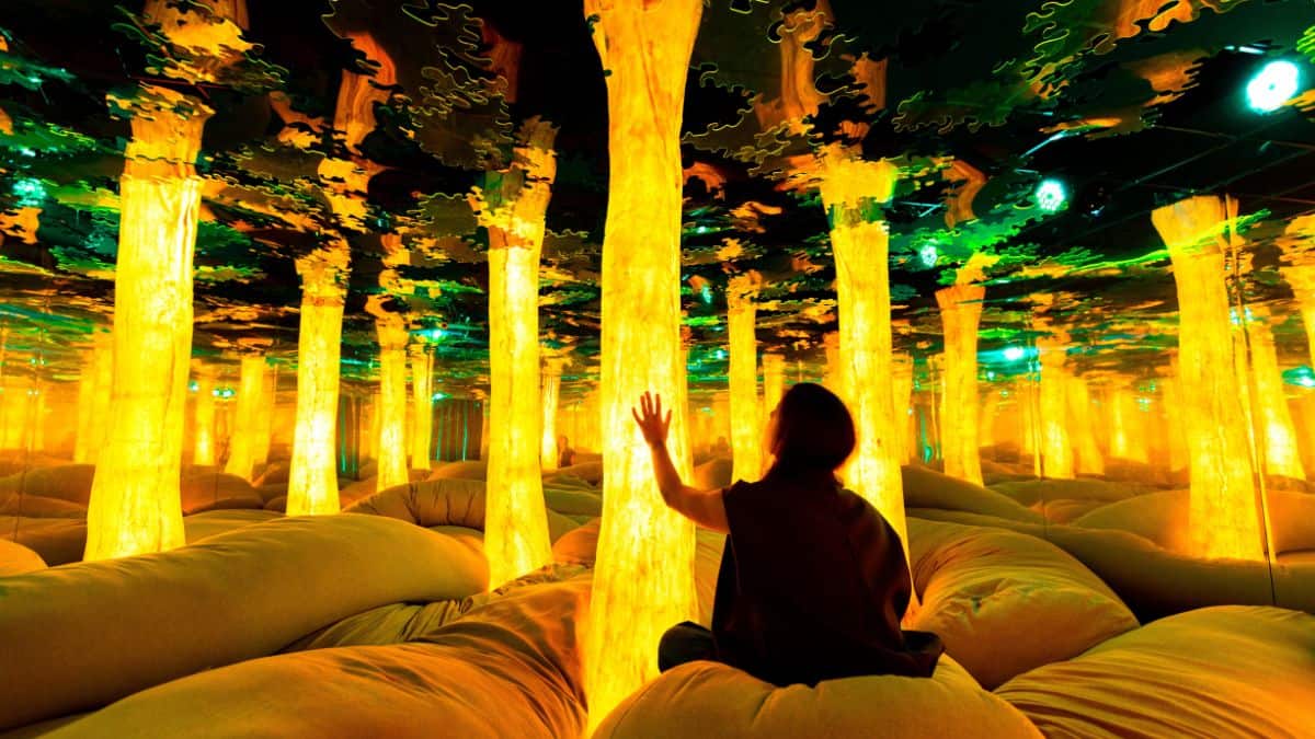 Dopamine Land - Zone - Euphoria Grove