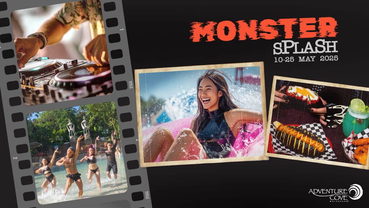 Monster Experience
