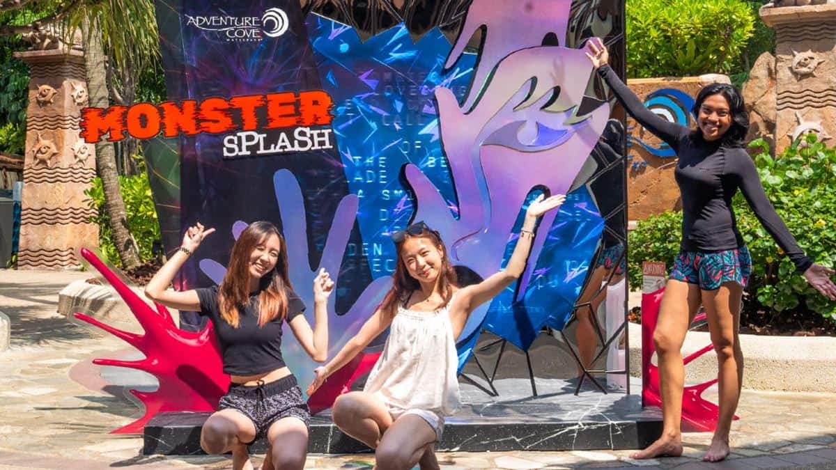 Monster Experiences - Adventure Cove Waterpark Highlights