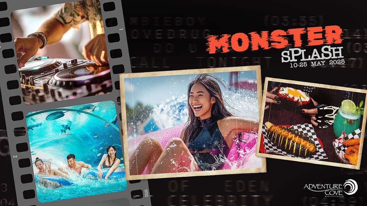 Monster Experience - Splash Bundle