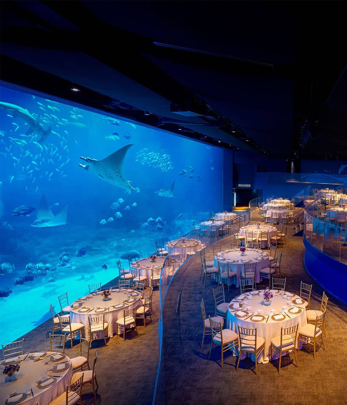 An Iconic Destination That Elevates Attendance