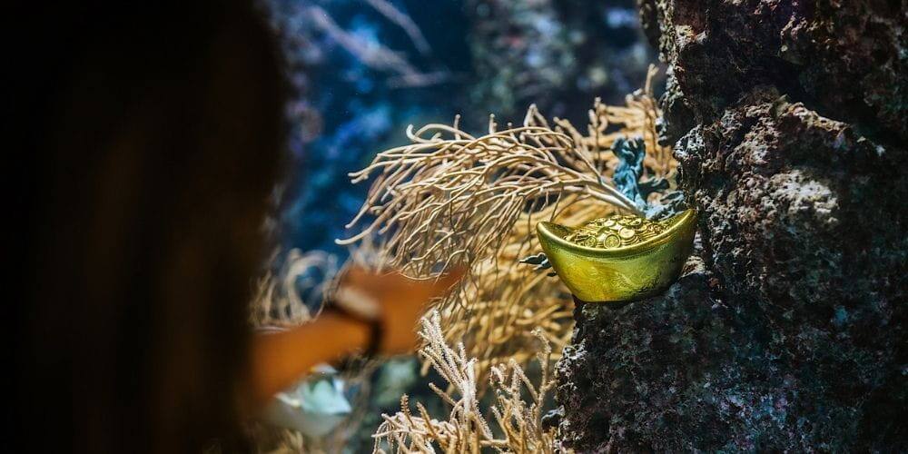 Gold ingot hidden in the animal habitat at S.E.A. Aquarium