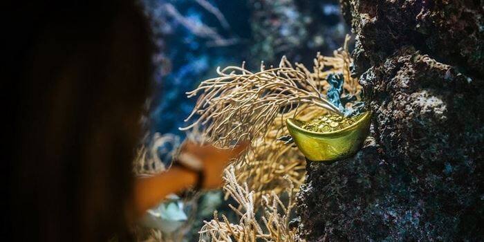 Gold ingot hidden in the animal habitat at S.E.A. Aquarium