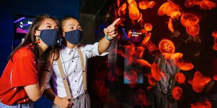 Mother and child looking at the sea jellies habitat at S.E.A. Aquarium