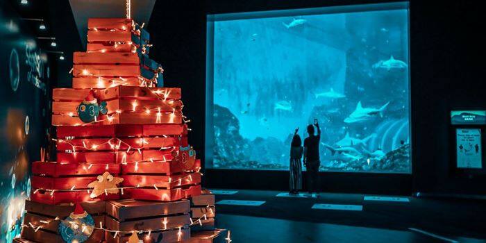 SEAASON of Rediscovery at SEA Aquarium