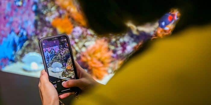 Hunt for the Lost Pearls at S.E.A. Aquarium