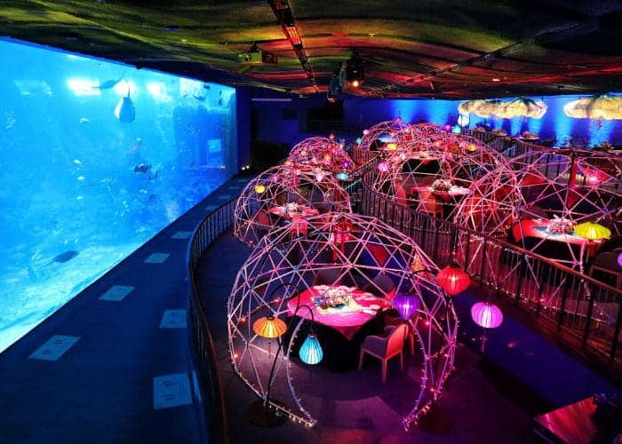 Aqua Gastronony dining experience at S.E.A. Aquarium’s Open Ocean Habitat