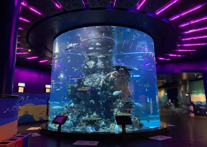 The Coral Garden at S.E.A. Aquarium