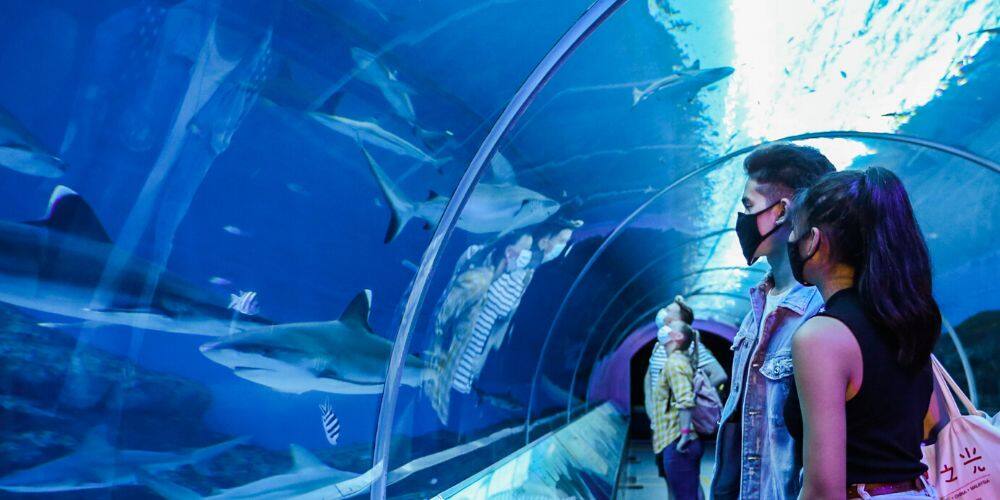Know Before You Go: Essential Information for Guests - Resorts World ...