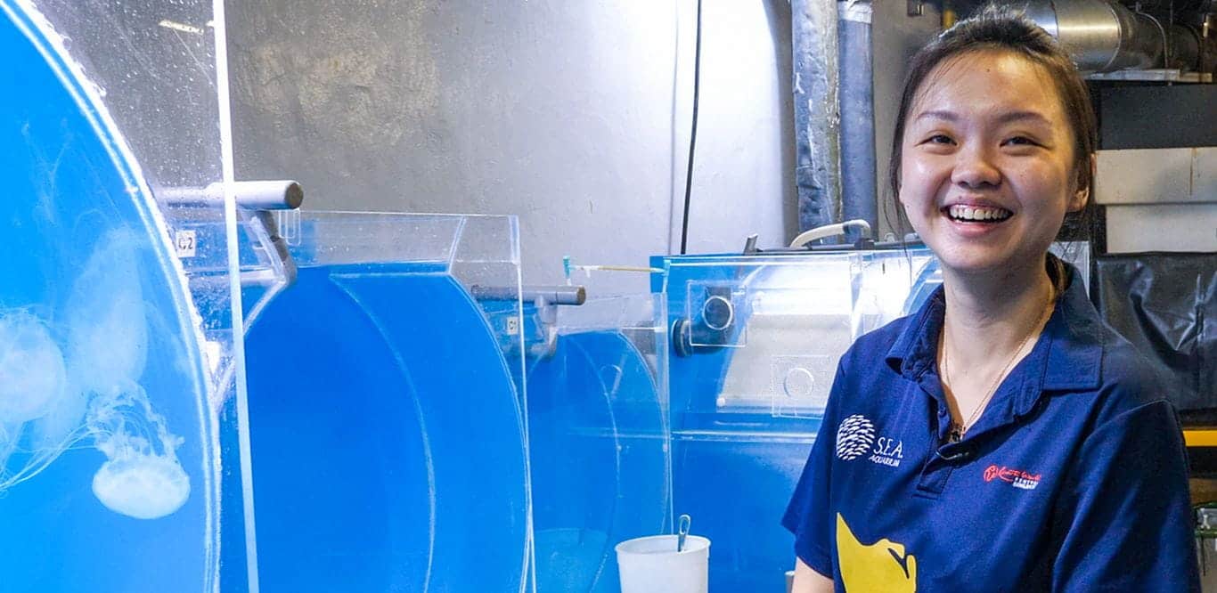 Experts Debunk Myths About Sea Jellies 1366x666