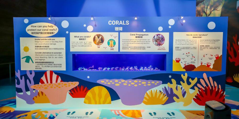 Corals Enhanced Zone