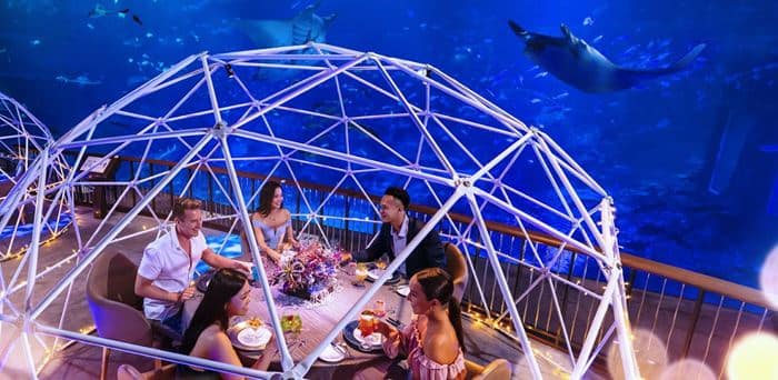 5 Things to Marvel at the All-New Aqua Gastronomy Experience