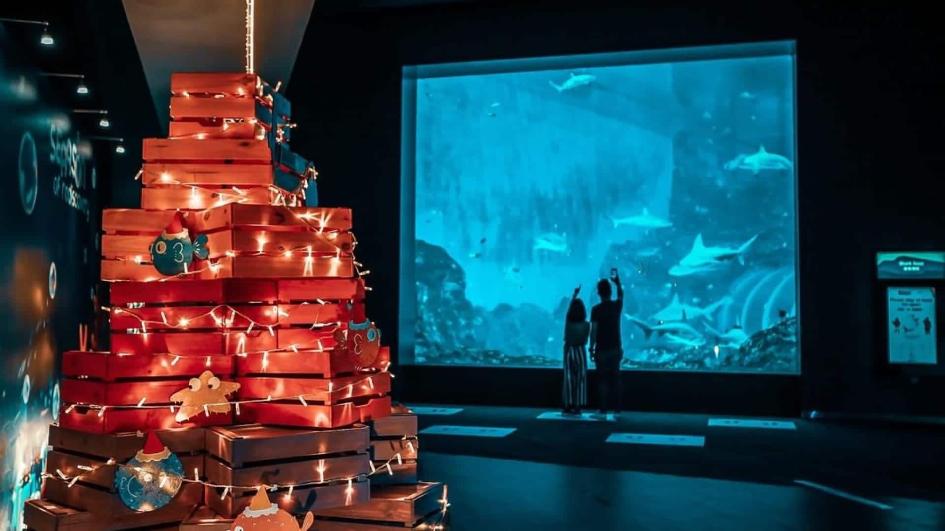 SEAAson of Rediscovery at SEA Aquarium