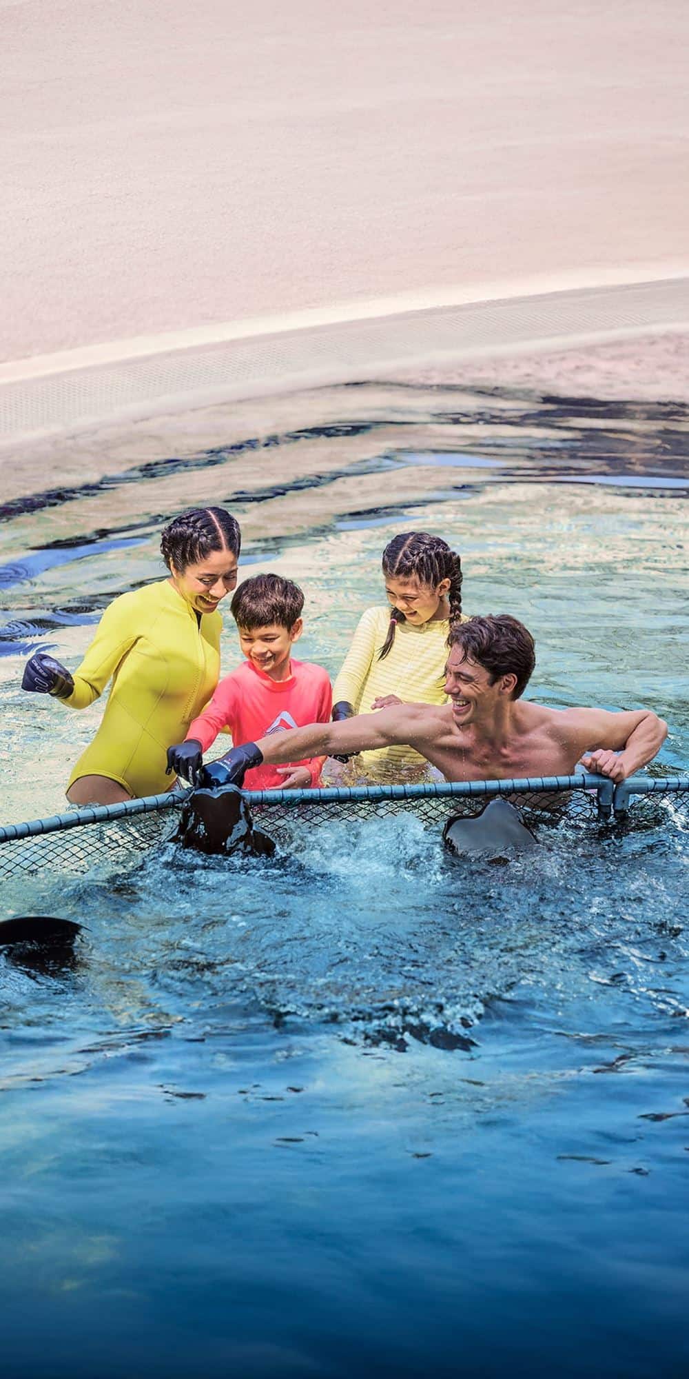 Adventure Cove Waterpark - Ray Encounter