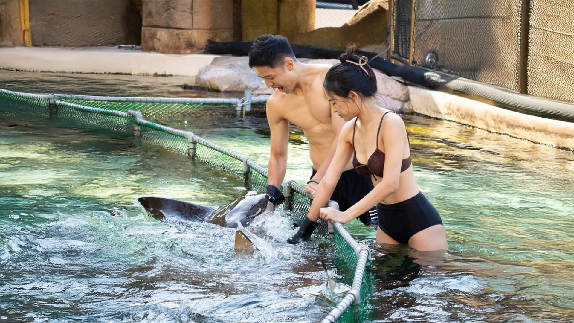 Adventure Cove Waterpark - Ray Encounter