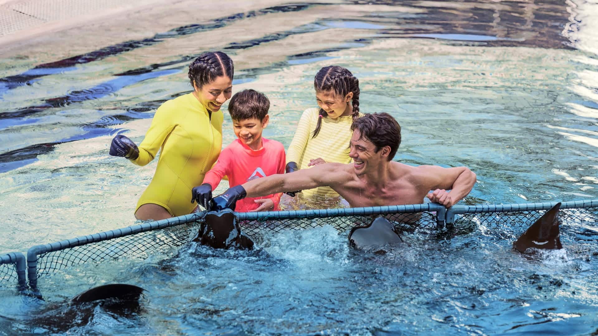 Adventure Cove Waterpark - Ray Encounter