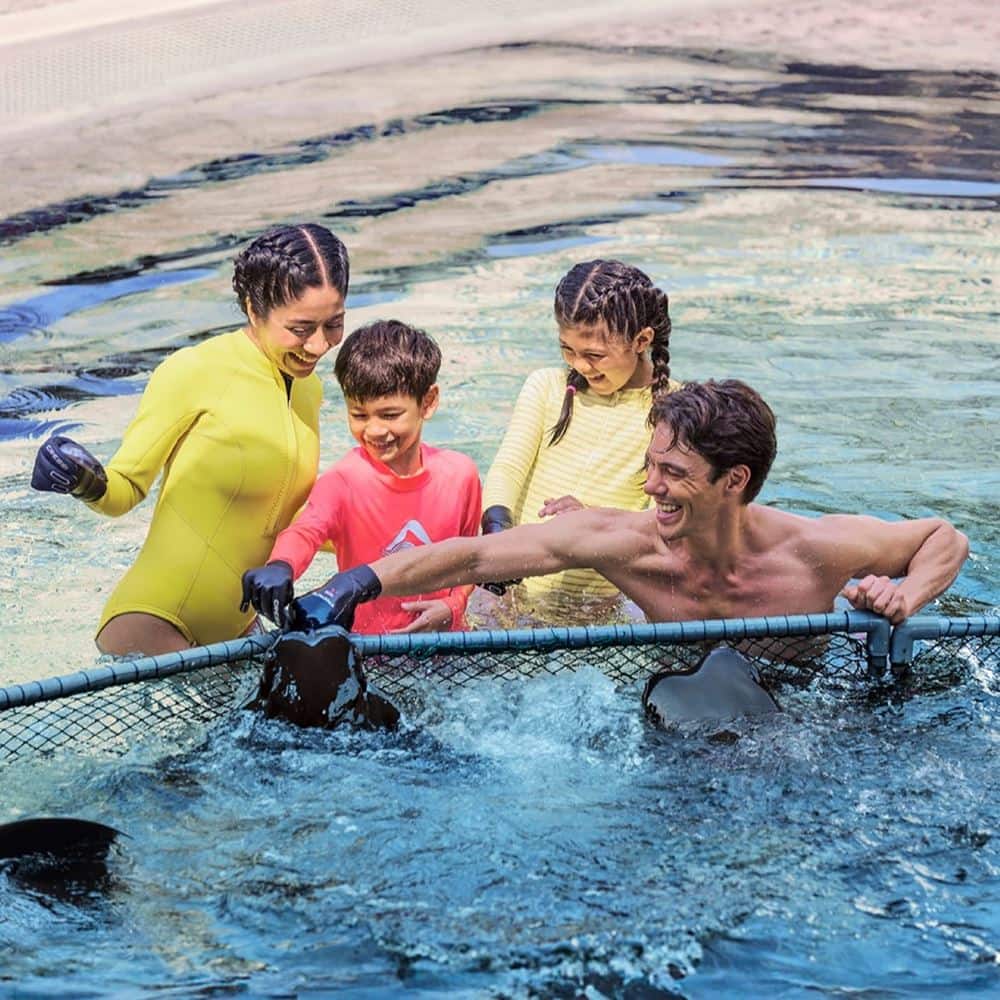Adventure Cove Waterpark - Ray Encounter