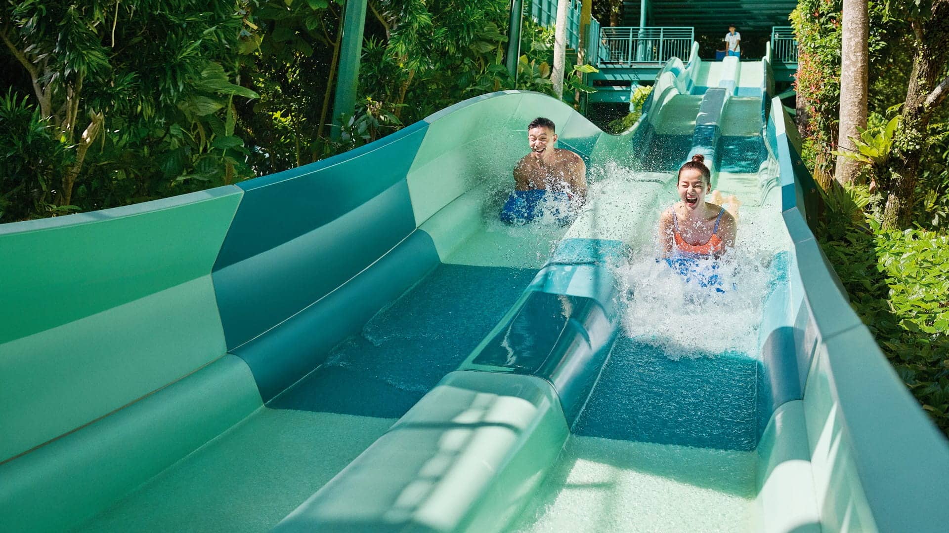 Adventure Cove Waterpark Dueling Racer