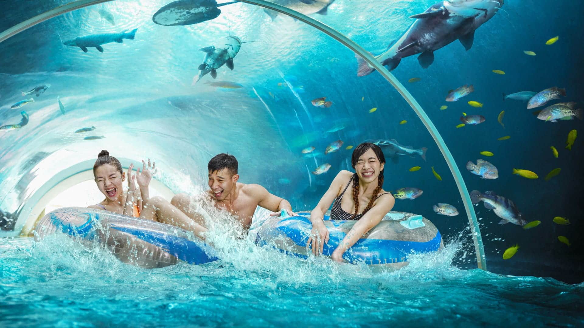 Adventure Cove Waterpark Adventure Pool