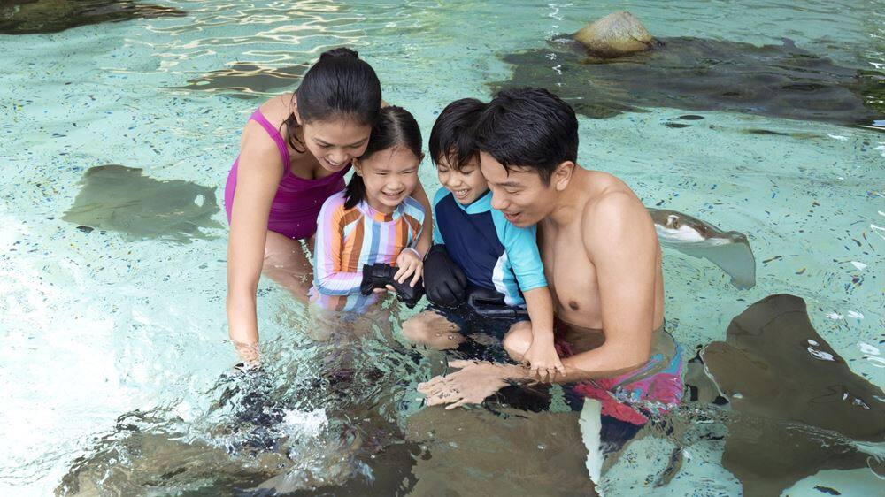 Image 10: Adventure Cove Waterpark Family Ray Bay