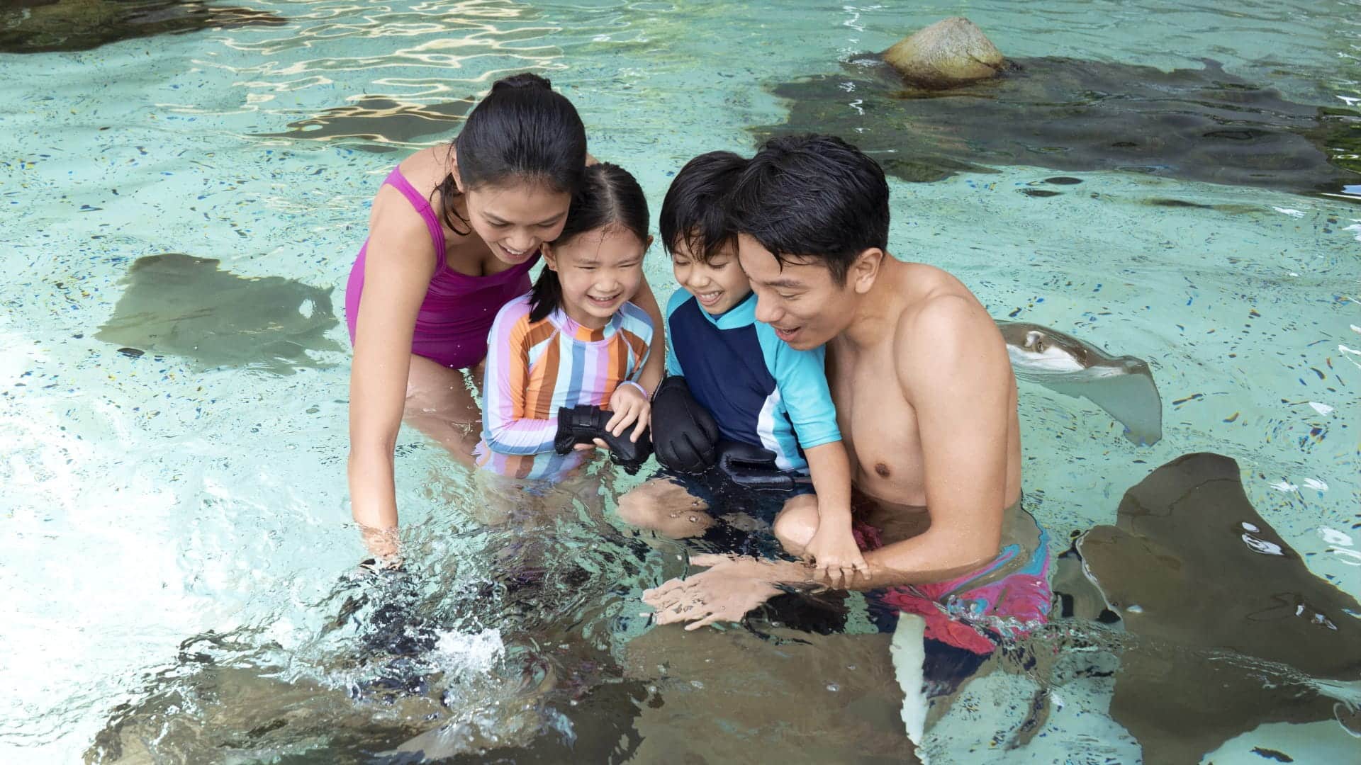 Adventure Cove Waterpark Family Ray Bay
