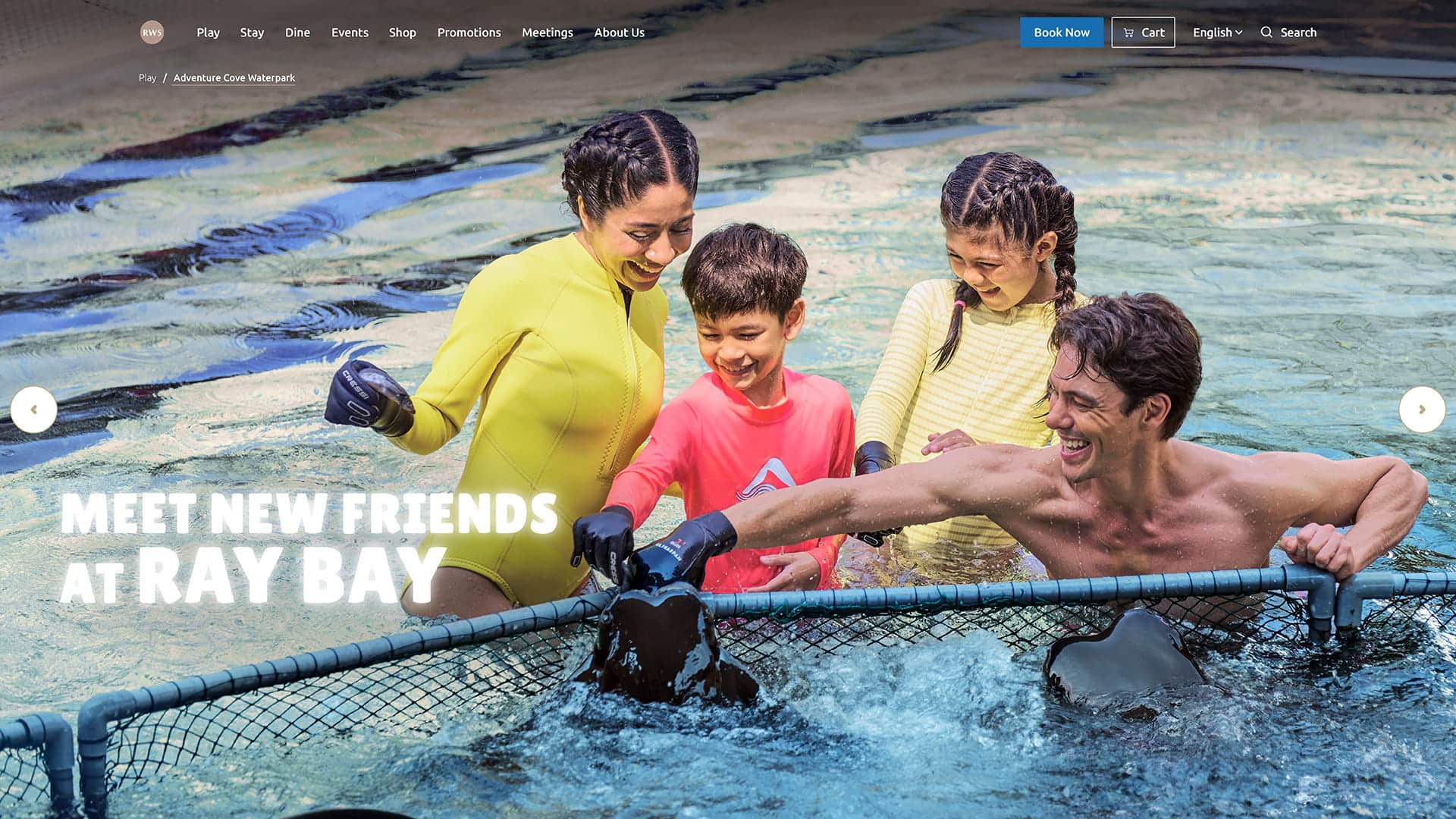 Adventure Cove Waterpark RayBay Encounter