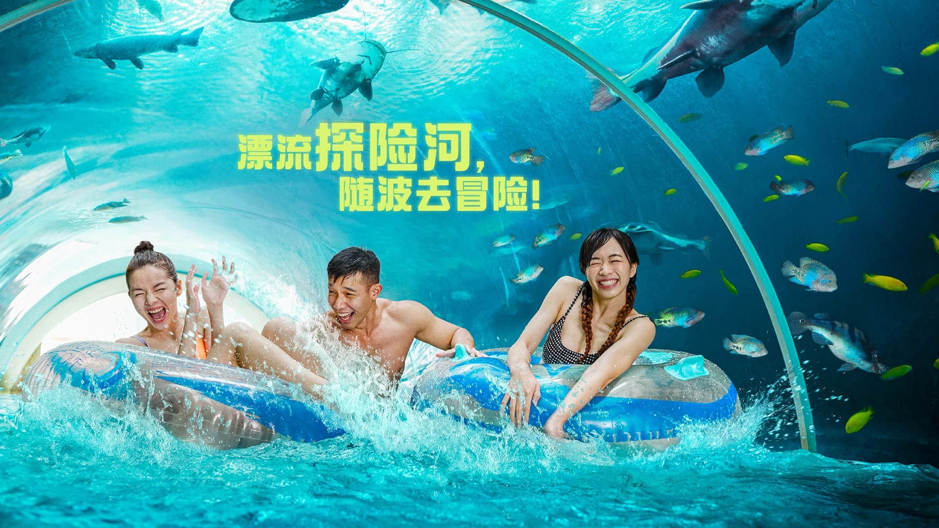 Adventure Cove Waterpark Adventure River