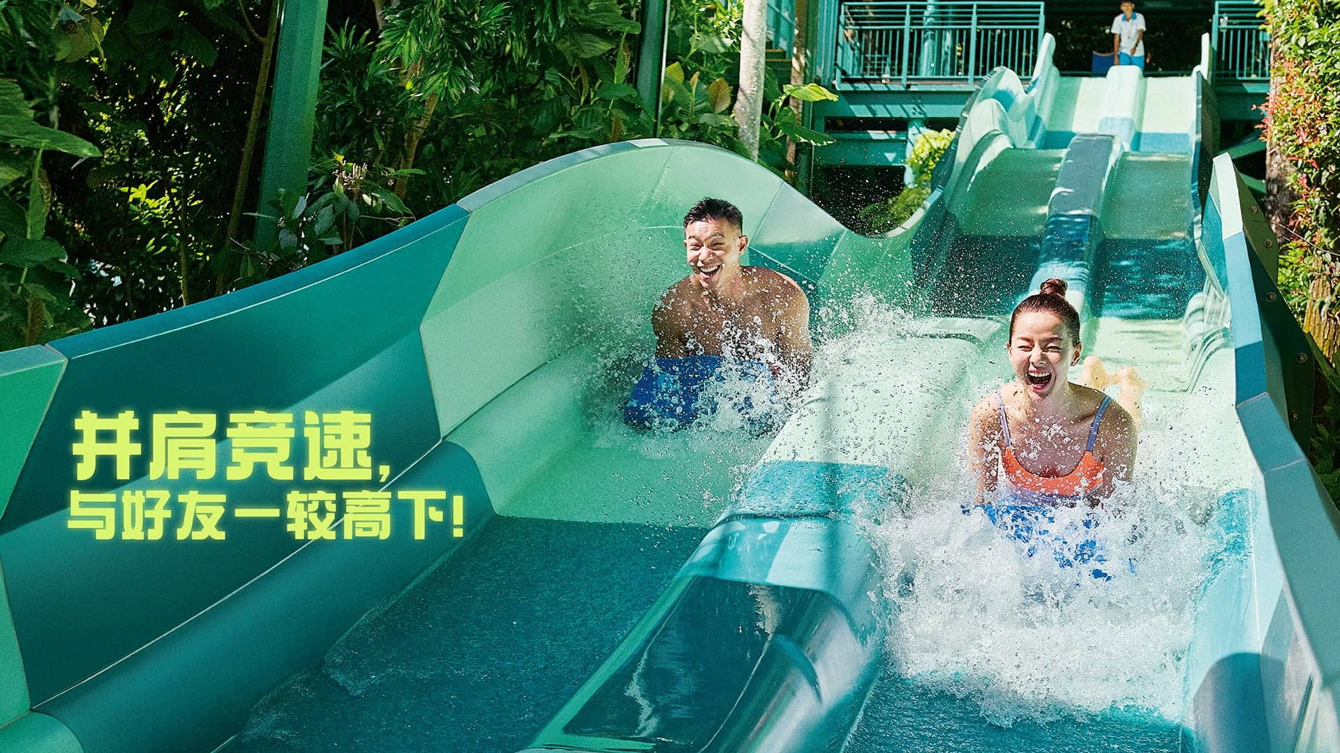 Adventure Cove Waterpark Dueling Racer